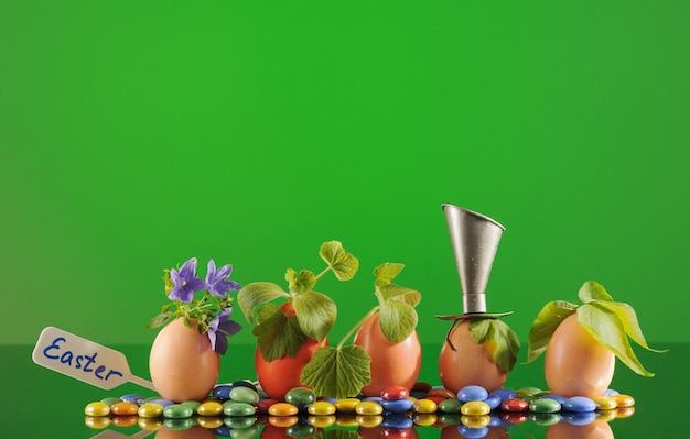 Cinque piante di piantine organiche in uova di Pasqua su sfondo verde giardinaggio ecologico
