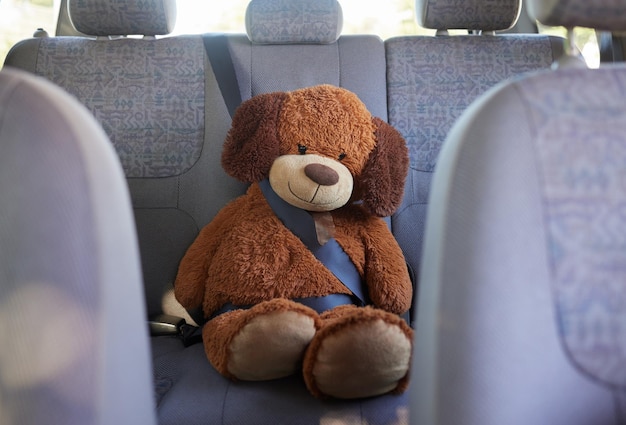 Cintura di sicurezza dell'orsacchiotto e sicurezza sul sedile posteriore di un'auto durante un viaggio su strada viaggio e viaggio con assicurazione di trasporto e veicolo Protezione dei passeggeri e guida sicura con un peluche