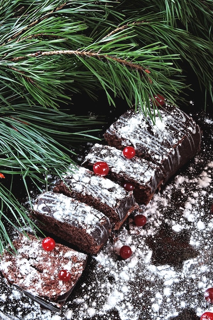 Cioccolata natalizia al cioccolato con zucchero a velo e mirtilli rossi. Rami di un albero di Natale.