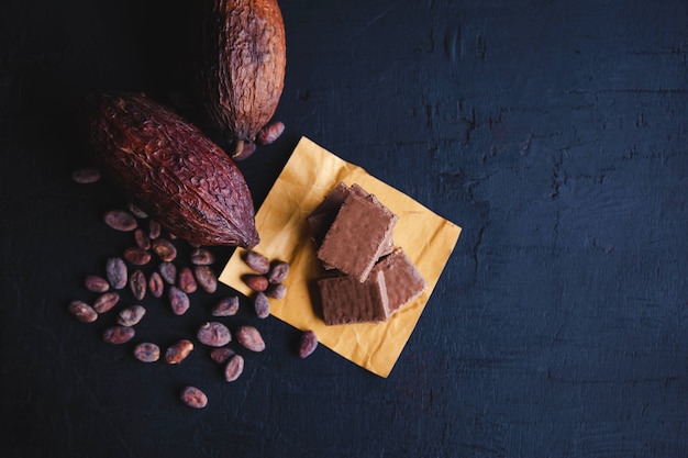 Cioccolato e fave di cacao con cacao su nero, vista dall'alto