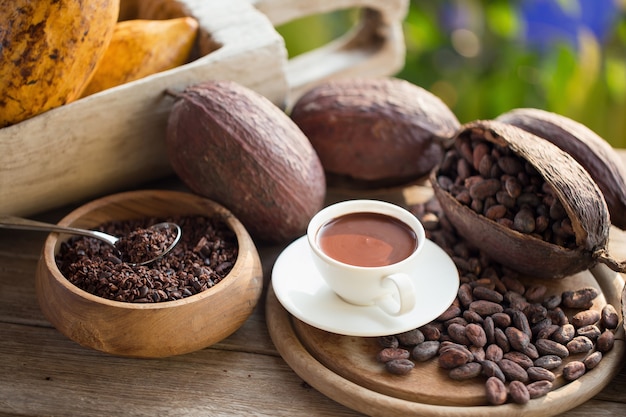 Cioccolato fresco e cioccolato liquido nel fondo di ceramica bianco dei semi di cacao di glasson.