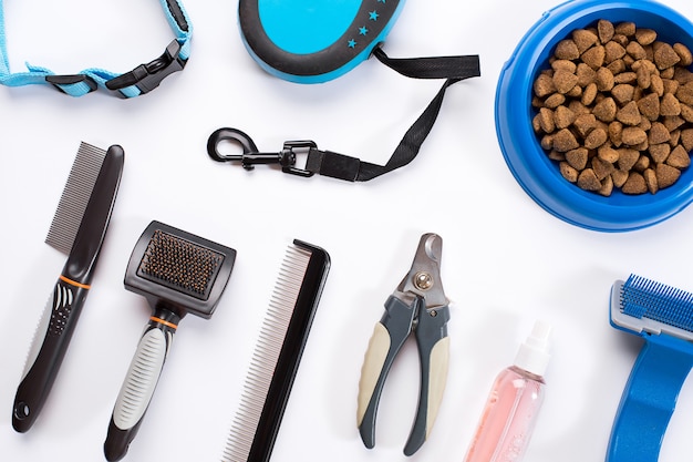 Ciotola blu del collare con i pettini e le spazzole della delicatezza del guinzaglio dell'alimentazione per i cani isolati su fondo bianco