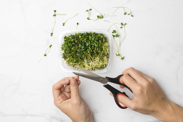 Ciotola Microgreens su sfondo bianco marmo. concetto di superfood. Foto di alta qualità