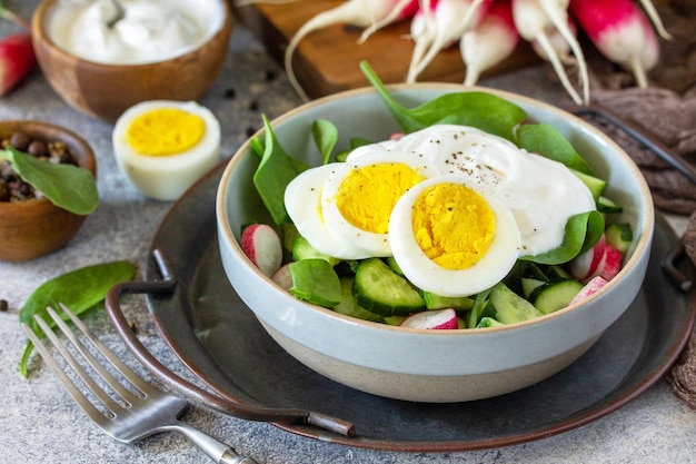 Ciotola per il pranzo vegano sano cibo fresco primaverile Insalata di ravanello di cetriolo di spinaci e uova sode