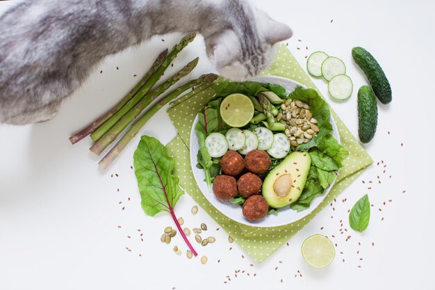 Ciotola vegetariana fresca con falafel avocado cetriolo asparagi lino lime e semi di zucca e foglie di insalata di mangold su sfondo bianco Piatto sano verde e gatto grigio