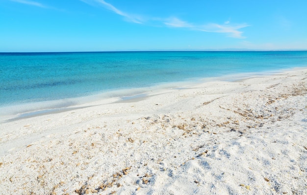 Ciottoli bianchi nella spiaggia delle Saline in Sardegna Italia