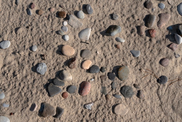 Ciottoli di mare colorati sulla sabbia della spiaggia sul Mar Baltico Curonian Spit Regione di Kaliningrad Russia