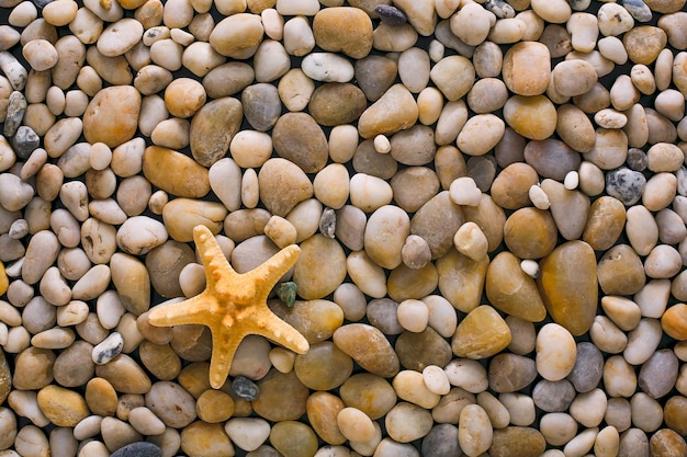 Ciottoli di mare, conchiglie e sfondo di stelle marine. Superficie strutturata di pietre naturali del mare, vista dall'alto