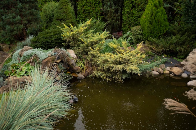 Ciottoli e piante per rafforzare il laghetto in giardino