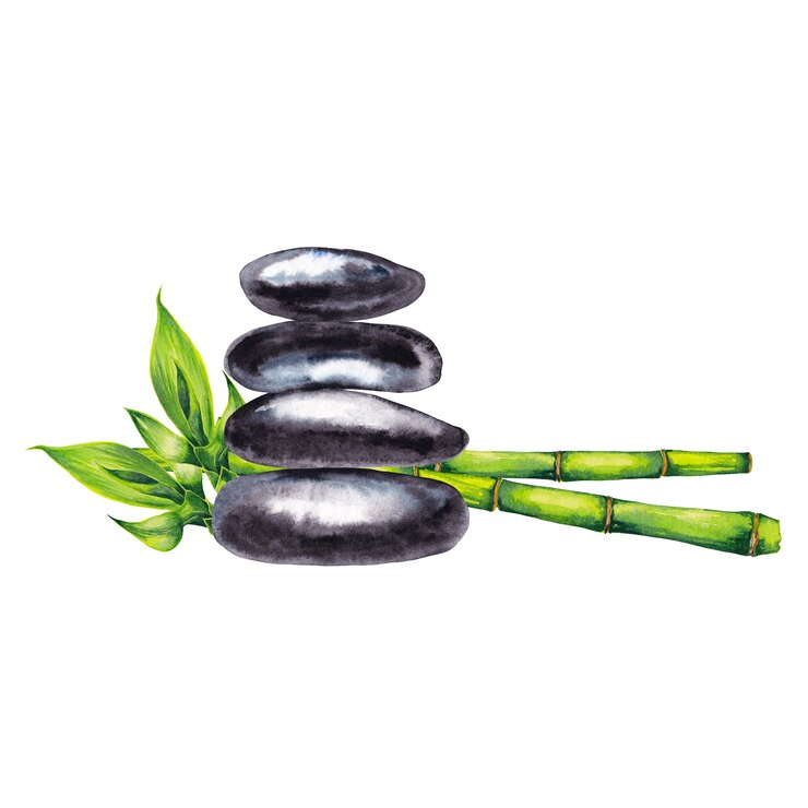 Ciottoli spa Zen e steli e germogli di bambù verde. Pittura ad acquerello