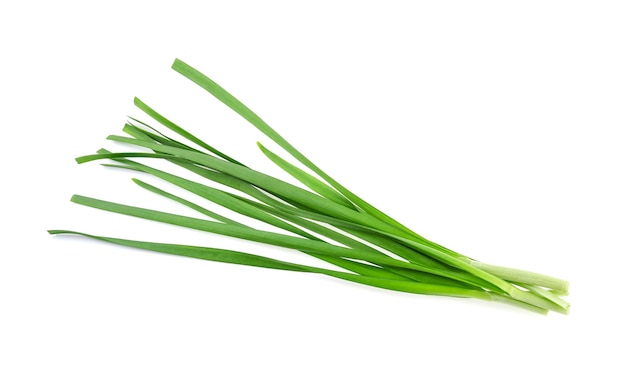 Cipolla d'aglio su sfondo bianco