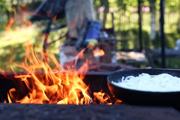 Cipolla fritta sul fuoco all'aperto