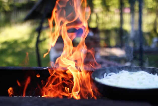 Cipolla fritta sul fuoco all'aperto