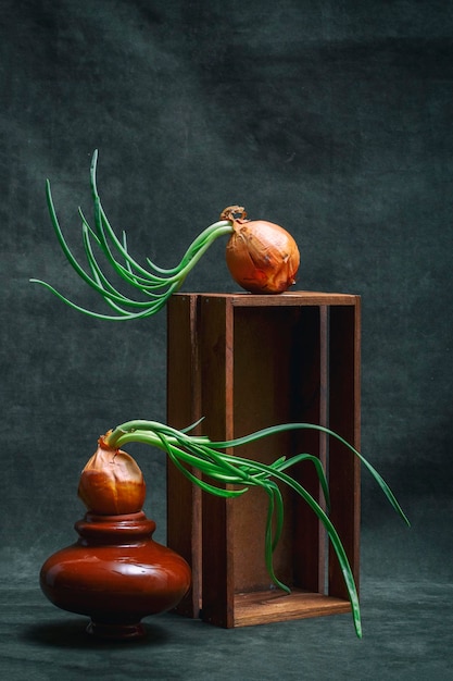 Cipolla germogliata su un vaso rotto e su una scatola di legno