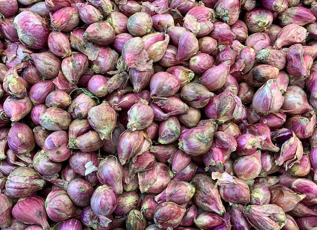 Cipolla rossa naturale Allium cepa L var aggregatum background