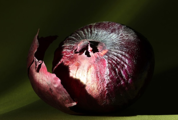 Cipolla rossa su sfondo colorato