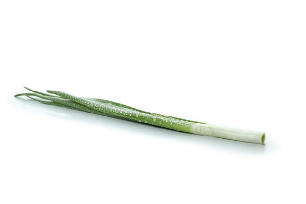 Cipolla verde fresca isolata su bianco