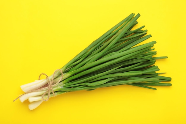 Cipolla verde fresca su sfondo giallo