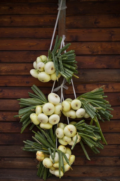 Cipolle bianche organiche e scalogni appesi su sfondo di legno Harvest Garden