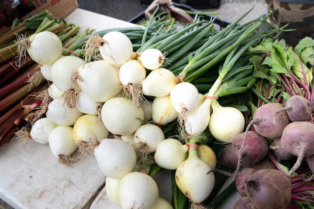 Cipolle biologiche verdi fresche con bulbi bianchi in vendita sul mercato degli agricoltori