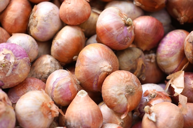 Cipolle rosse nel mercato indiano