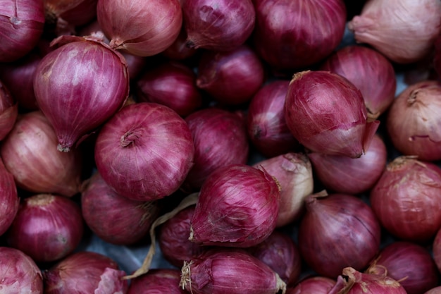 Cipolle rosse raccolte in contenitore