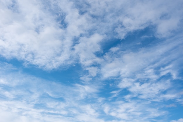 Cirri nel cielo azzurro bellissimi Cirrus uncinus nel cielo azzurro d'estate