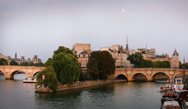 Cite isola a Parigi, Francia.