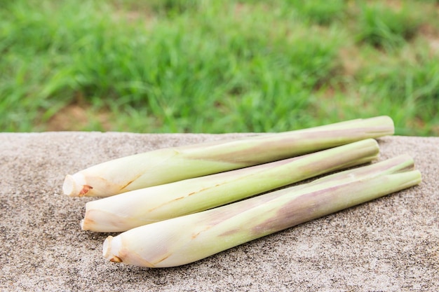 Citronella fresca sul pavimento di cemento