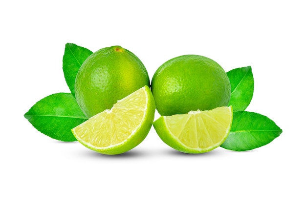 Citrus lime fruit isolati su sfondo bianco