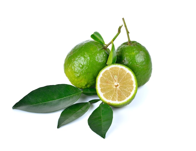 Citrus medica Linn su bianco