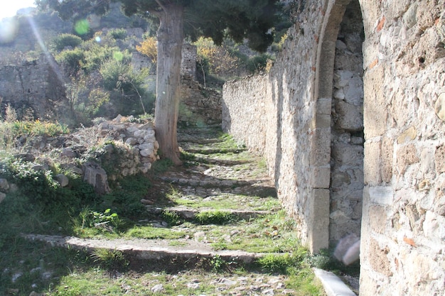 Città bizantina di Mystra Grecia