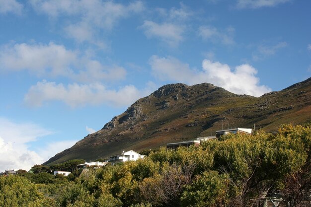 Città del Capo dei pinguini in Sud Africa