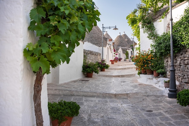 Città di Alberobello in Italia famosa per le sue case hictoric di trullo