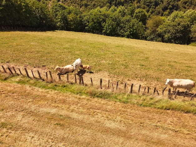 città di berroeta navarra spagna