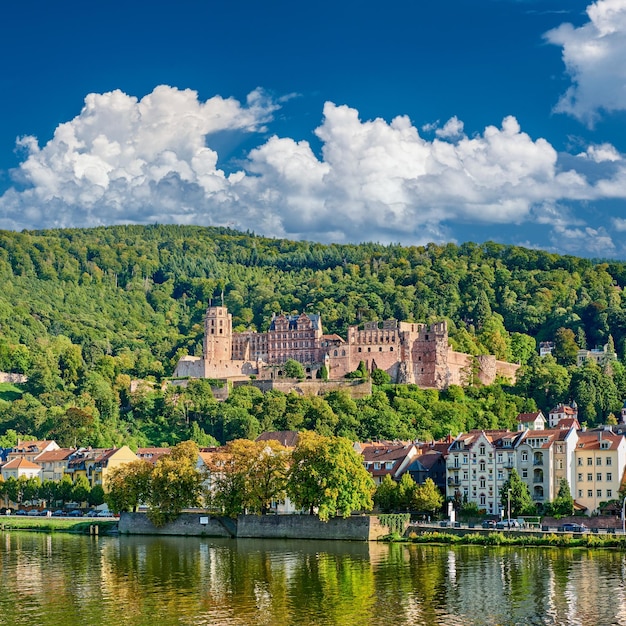 Città di Heidelberg sul fiume Neckar in Germania