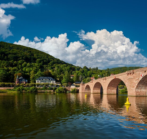 Città di Heidelberg sul fiume Neckar in Germania