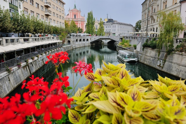 città di Lubiana, capitale della Slovenia con il vecchio ponte fiorito e il fiume