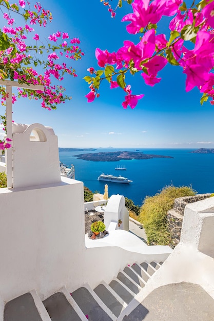 Città di Oia sull'isola di Santorini, Grecia. Case blu bianche famose tradizionali con fiori sotto il sole