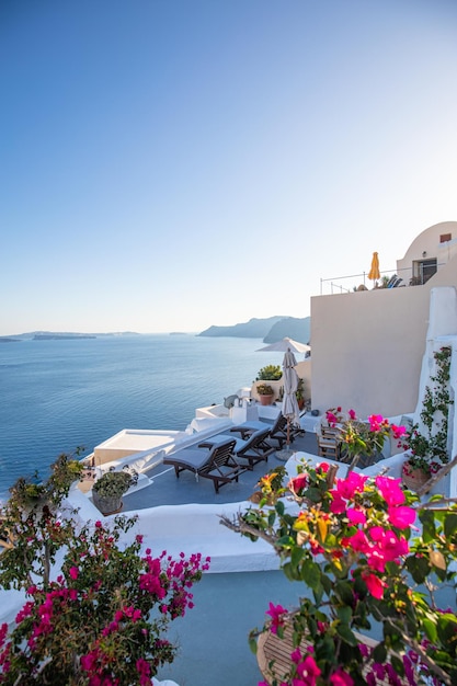 Città di Oia sull'isola di Santorini, Grecia. Case blu bianche famose tradizionali con fiori sotto il sole