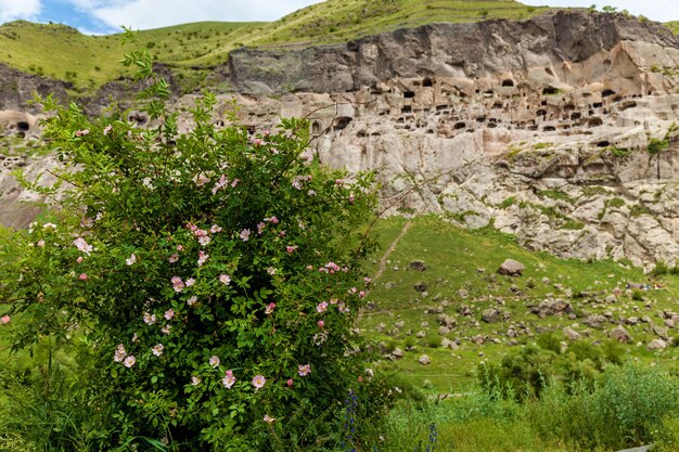 Città-monastero rupestre Vardzia. Vardzia si trova sui Monti Erusheti sulla riva sinistra