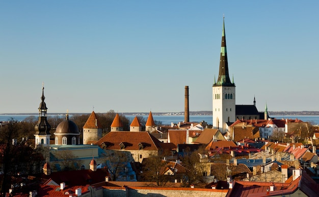 Città Vecchia di Tallinn Estonia