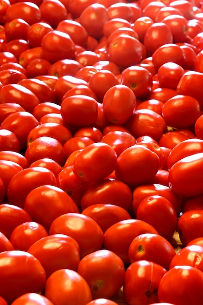 Classica raccolta e passata di pomodoro fatta a mano con antica pressa in metallo per salse