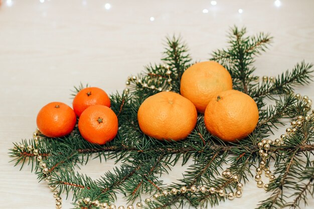 Clementine e mandarini su un ramo di abete su uno sfondo di natale.