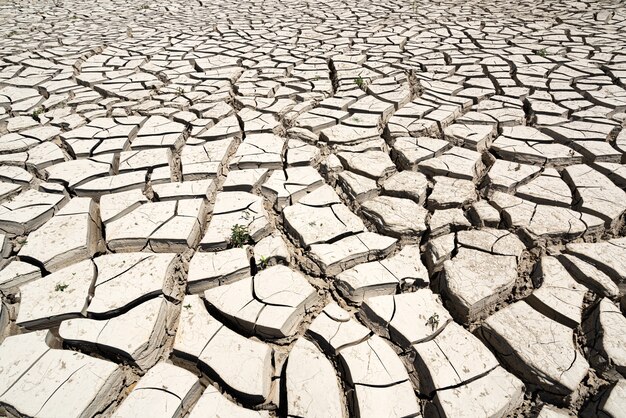 Clima arido, sfondo di terra screpolata