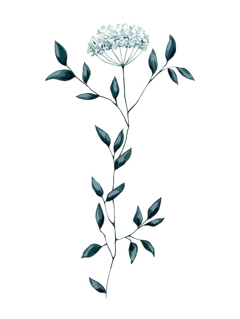 Clip art floreale vintage isolata su bianco Illustrazione botanica di fiori verde pastello Design retrò