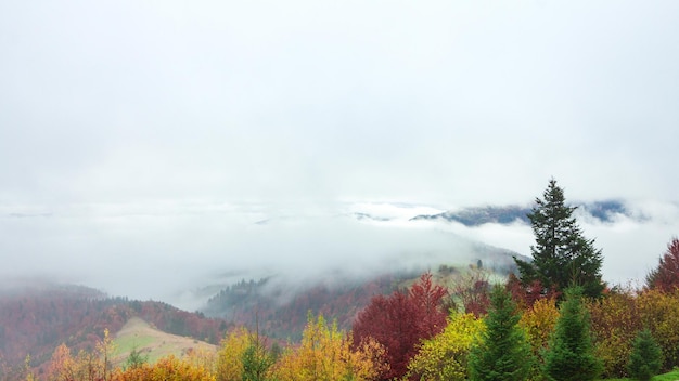 Clip di lasso di tempo Fantastico paesaggio di montagna colorato con nuvola Ucraina Carpazi