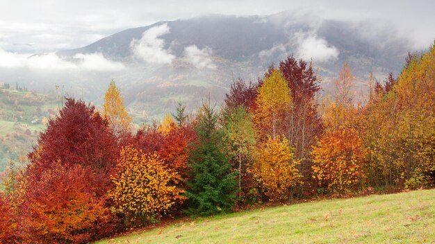 Clip di lasso di tempo Fantastico paesaggio di montagna colorato con nuvola Ucraina Carpazi