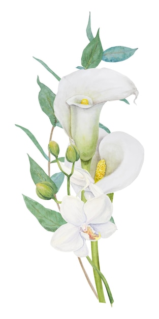 Clipart acquerello di fiori di orchidea calla bianca e eucalipto Illustrazione floreale disegnata a mano