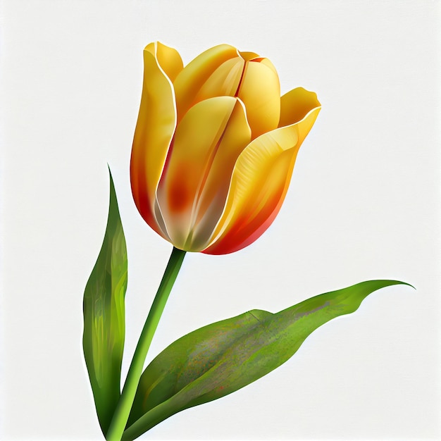 Clipart del fiore del tulipano